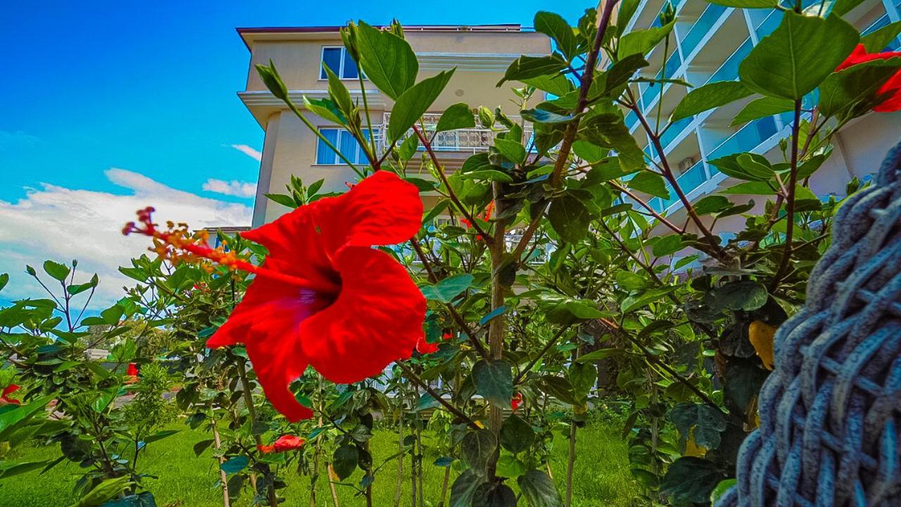 Club Wasa Holiday Village All Inclusive Toslak Zewnętrze zdjęcie